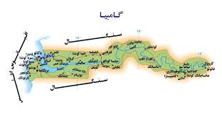 رییس کمیسیون انتخابات گامبیا به سنگال گریخت