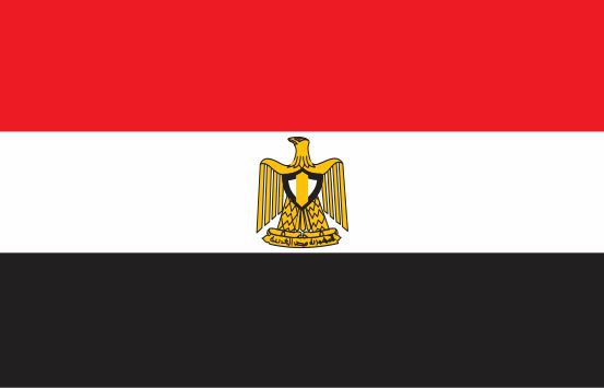 سیسی رئیس جدید ستاد ارتش مصر را منصوب کرد